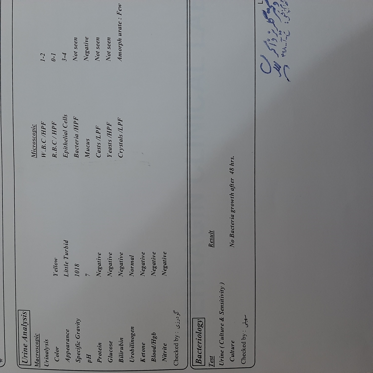 آزمایش عفونت ادرار