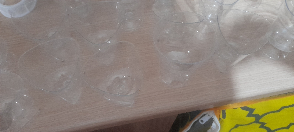 خاتوما بیاین توروخدا موندم چیکار کنم