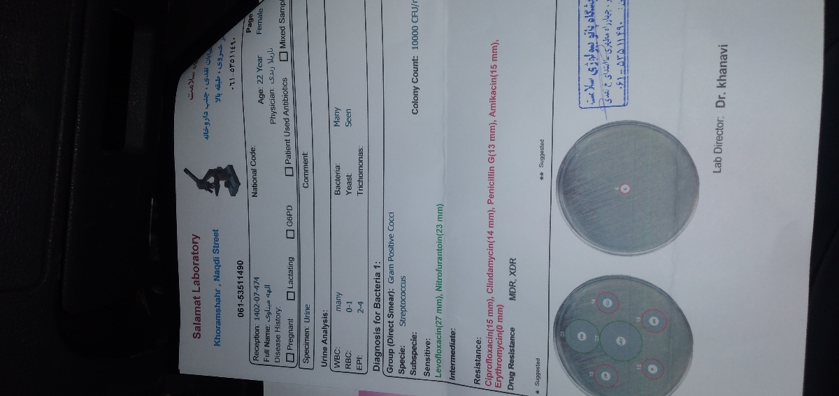 تفسیر ازمایش ادرار بارداری
