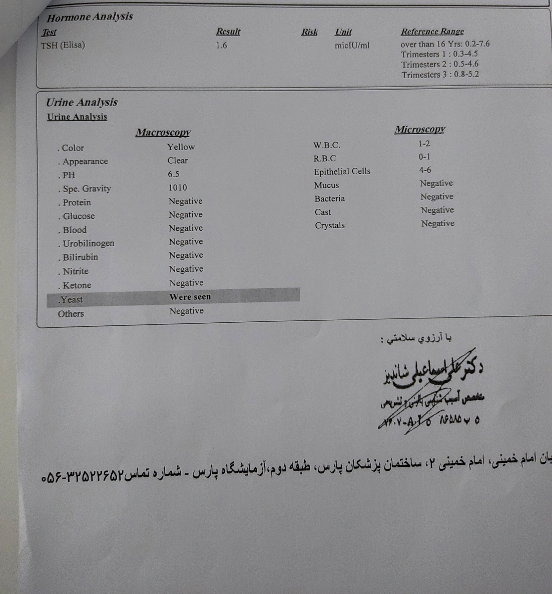 تفسیر آزمایش 24 ساعته