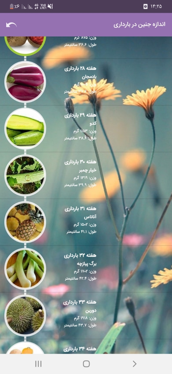 جواب سونوگرافی رشد جنین جواب سونوگرافی رشد جنین