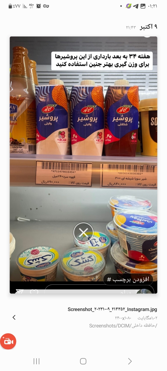 شیر ماجا وشیر پرو در بارداری