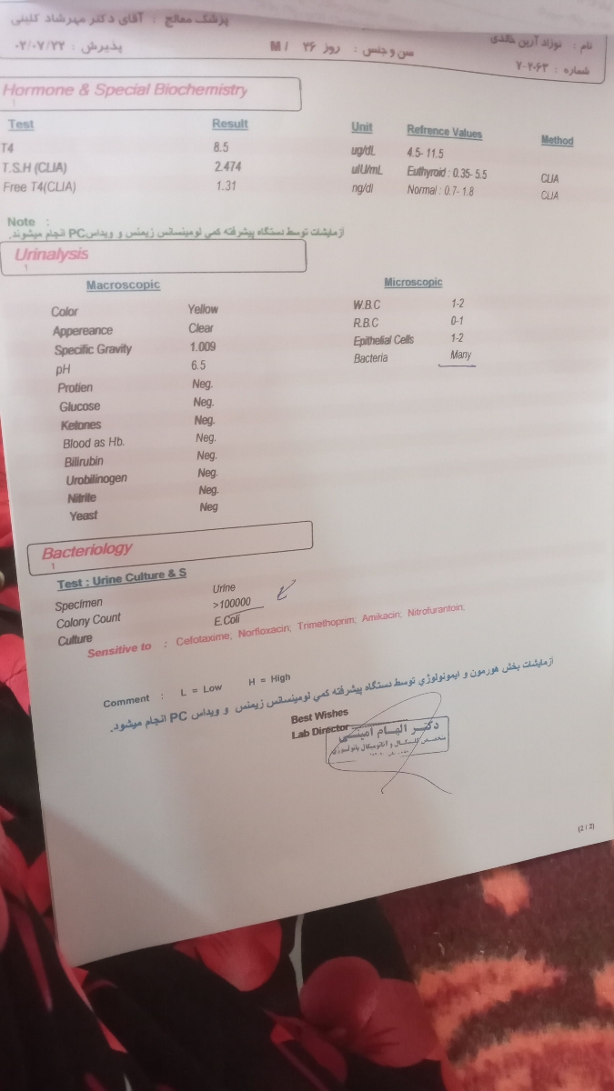 تفسیر ازمایش زردی نوزاد یک ماهه