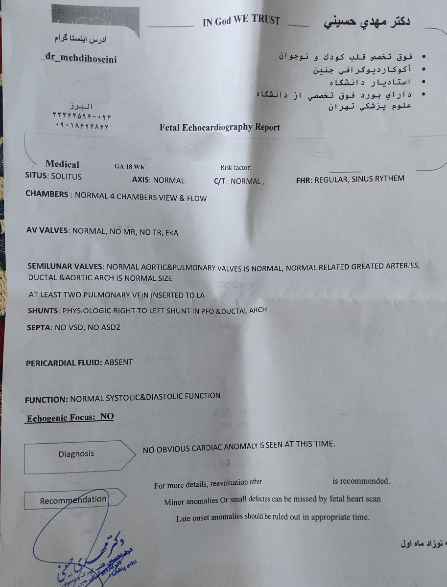 دکتر عزیز تفسیر سونوگرافی،اکو لطفا