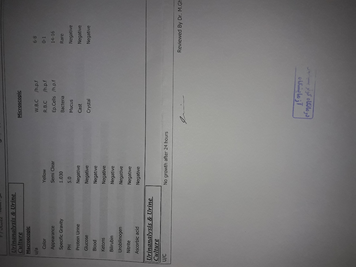 تفسیر سنوگرافی بارداری تفسیر سنوگرافی بارداری