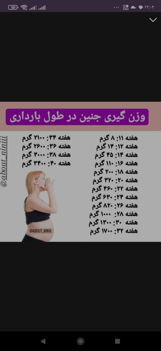 تفسیر سونوی ۲۴ هفته تفسیر سونوی ۲۴ هفته