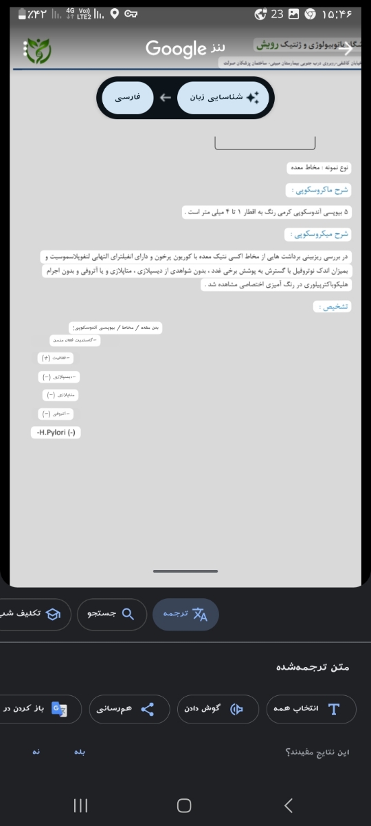 شرح حال ازمایش معده