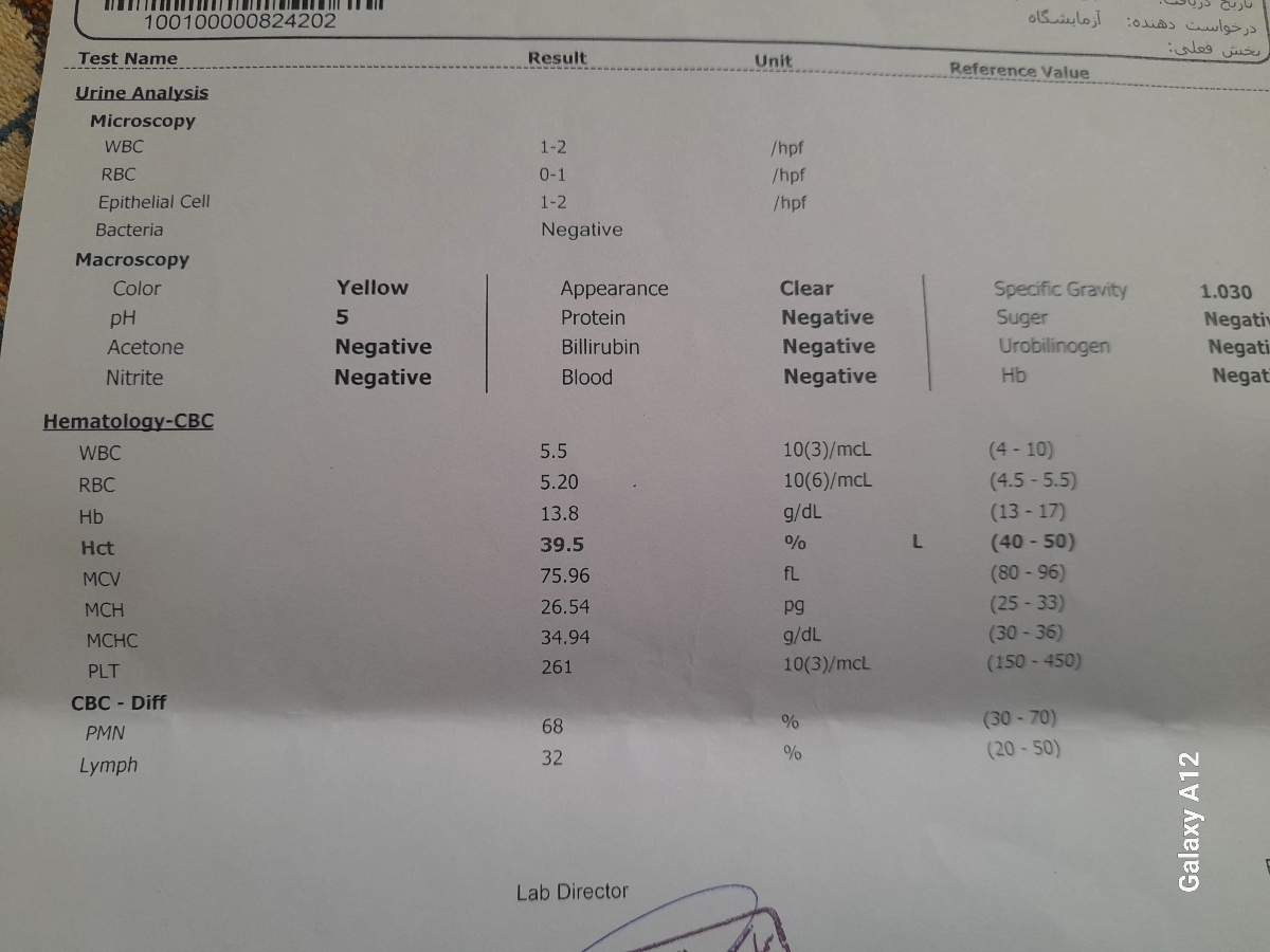 لطفا ازمایشم روبگید چجوریه
