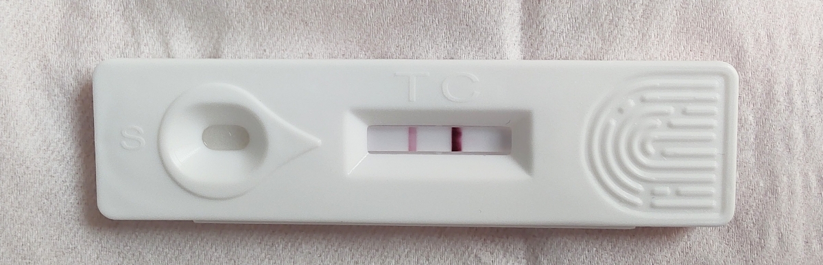 بی بی چک مثبت ... ؟! بی بی چک مثبت ... ؟!