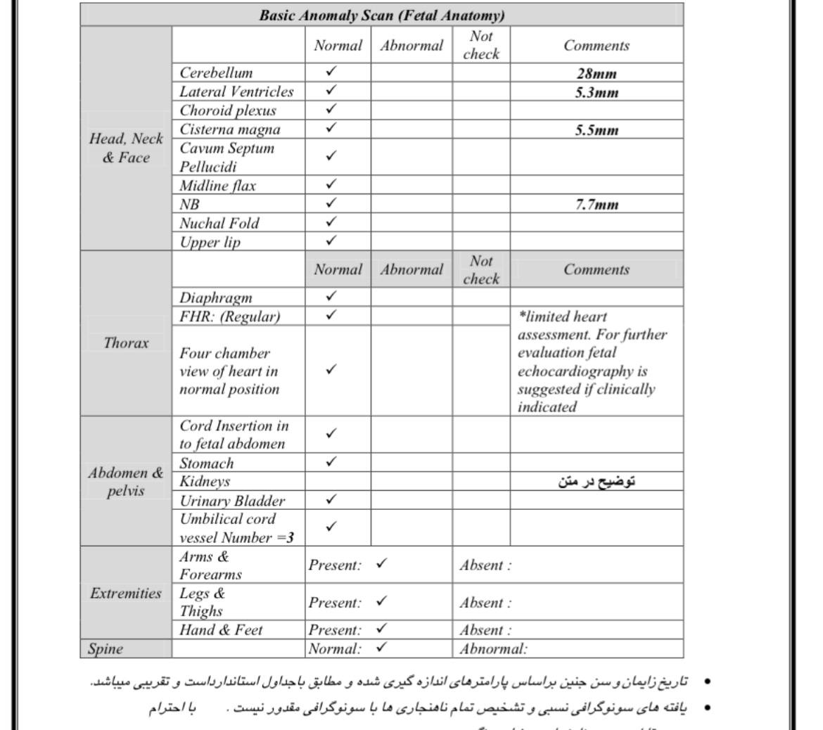 آنومالی ۲۴ هفته (۲)