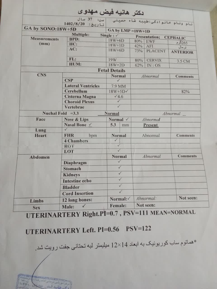 تفسیر برگه سونوگرافی سه بعدی