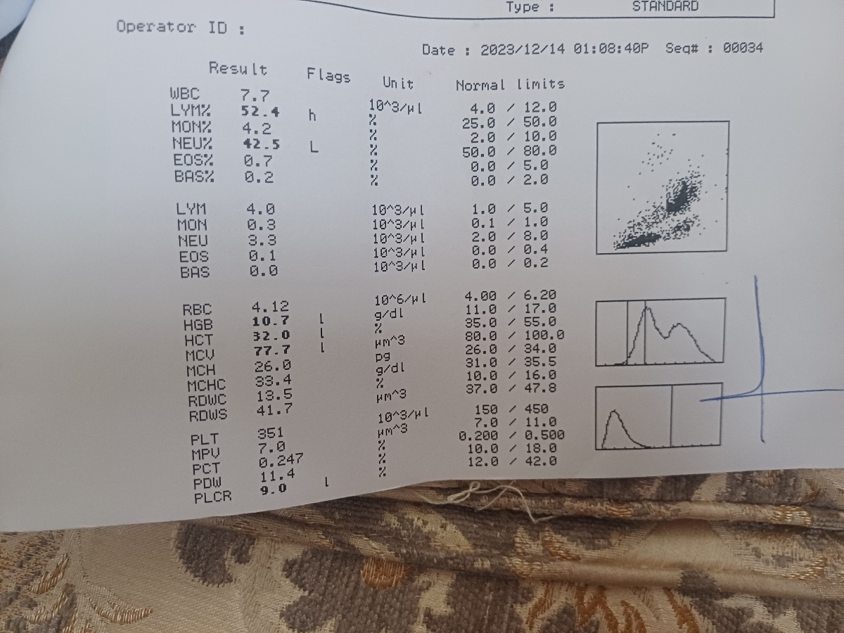 گرمایی بودن و کم خونی پسرم