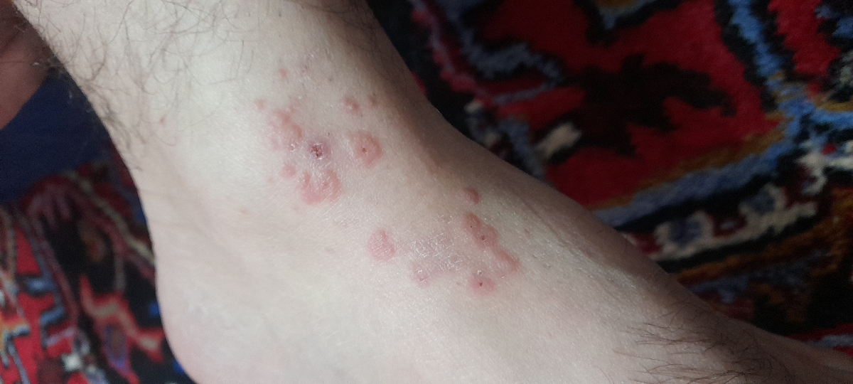 خانومهایی که با سالک اشنایی دارن