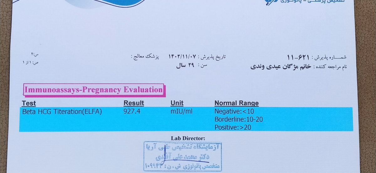 مثبت شدن بی بی چک