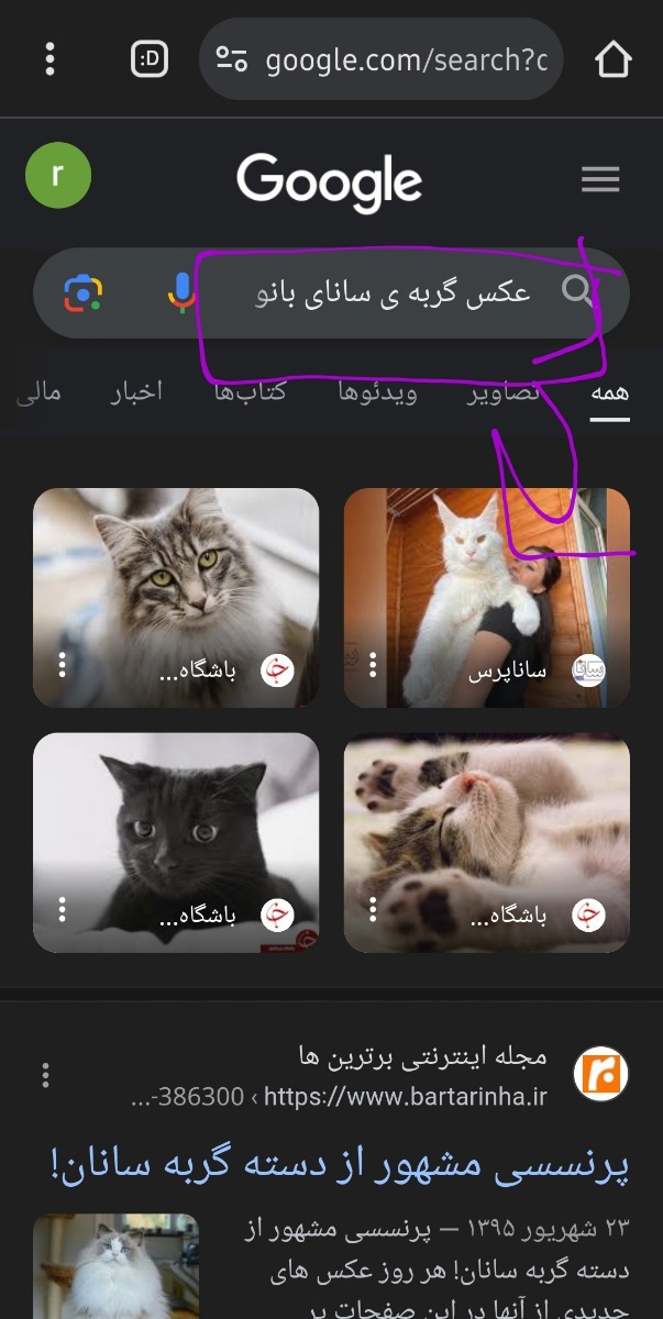 بشتابید پیداش کردم