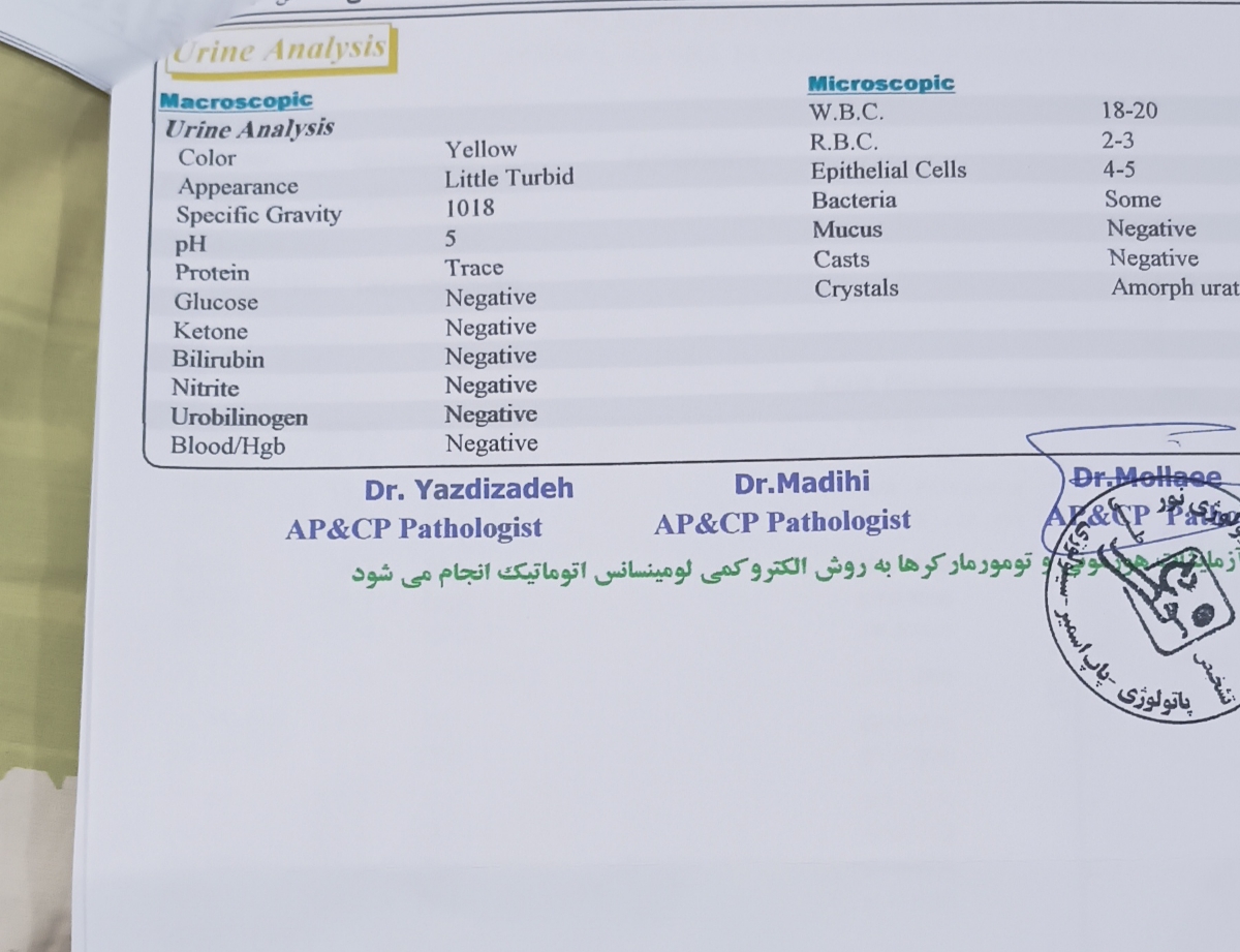 چکار کنم برای اقدام به بارداری