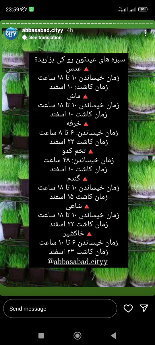 سبزه عید کی بذارم؟؟؟ سبزه عید کی بذارم؟؟؟