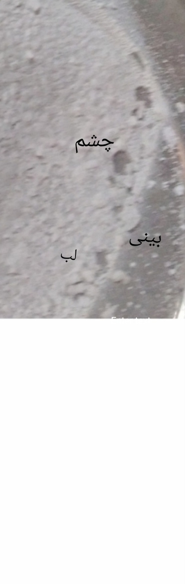 من همچین چیزی رو فقط تو اوما دیدم و شنیدم
ولی الان توش ی نیم رخ پیدا کردم 😂 من همچین چیزی رو فقط تو اوما دیدم و شنیدم
ولی الان توش ی نیم رخ پیدا کردم 😂