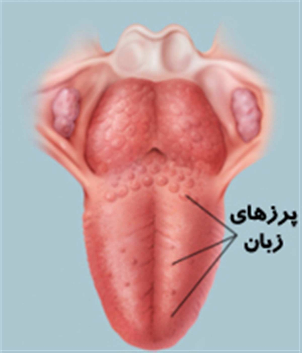 لوزه های دخترم لوزه های دخترم