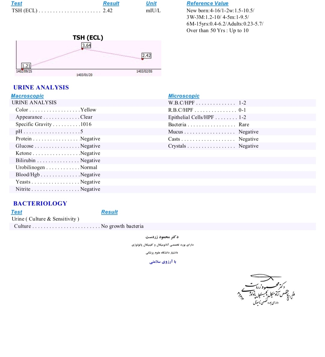 این مال دیروز 