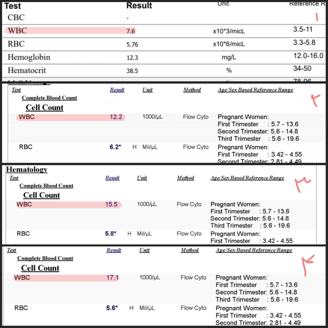 اندازه گلبول های سفیدم  ۱: قبل بارداری ، ۲: سونو ان تی ، ۳: سونو آنومالی ، ۴: هفته ۲۴ بارداری .