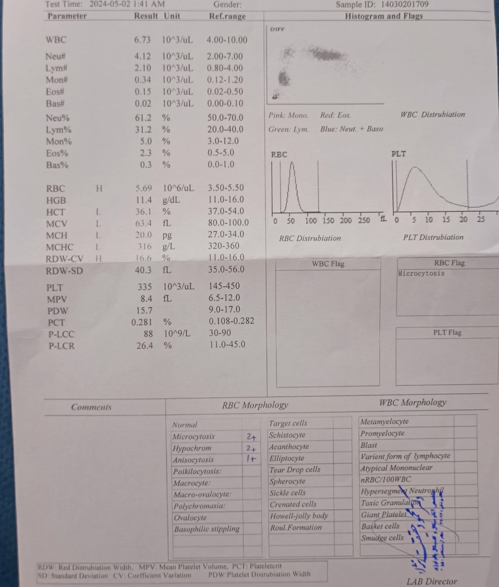 تفسیر آزمایش خون قبل از انتقال جنین