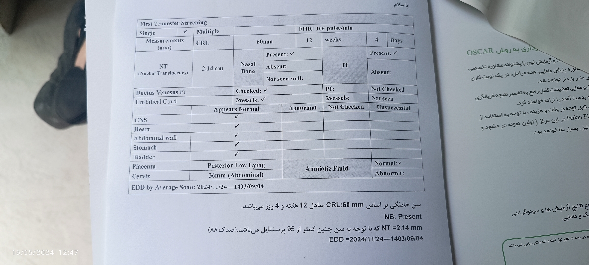 آزمایش غربالگری ان تی