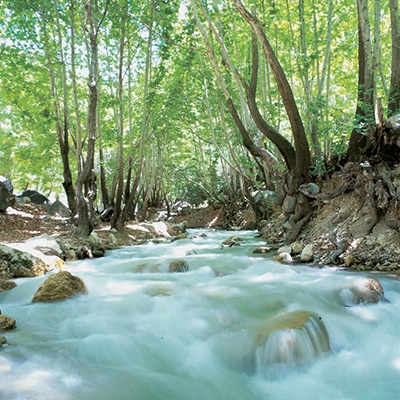 تنگ گنجه ای