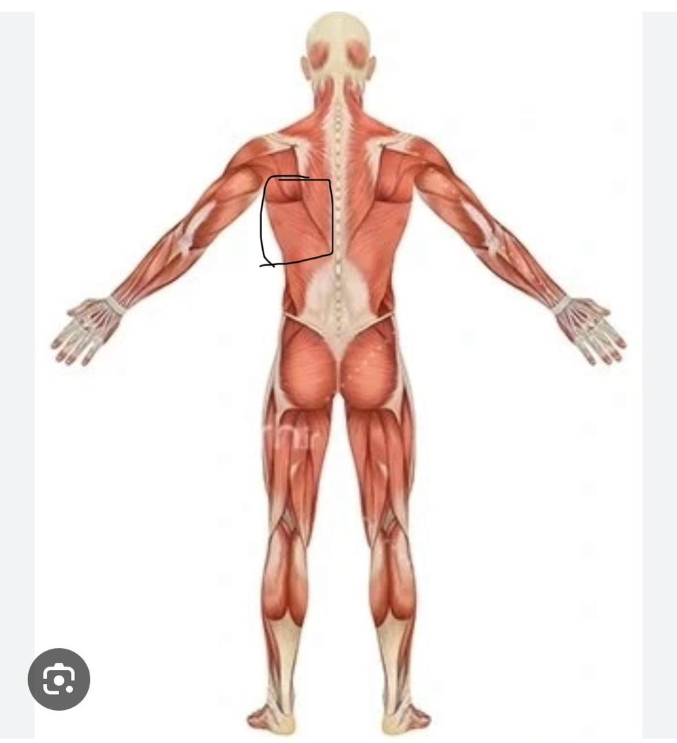 این ناحیه فقط سمت راست این ناحیه فقط سمت راست