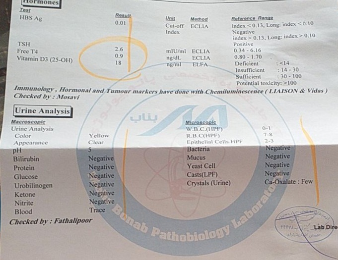 تفسیر ازمایش چکاب کلی