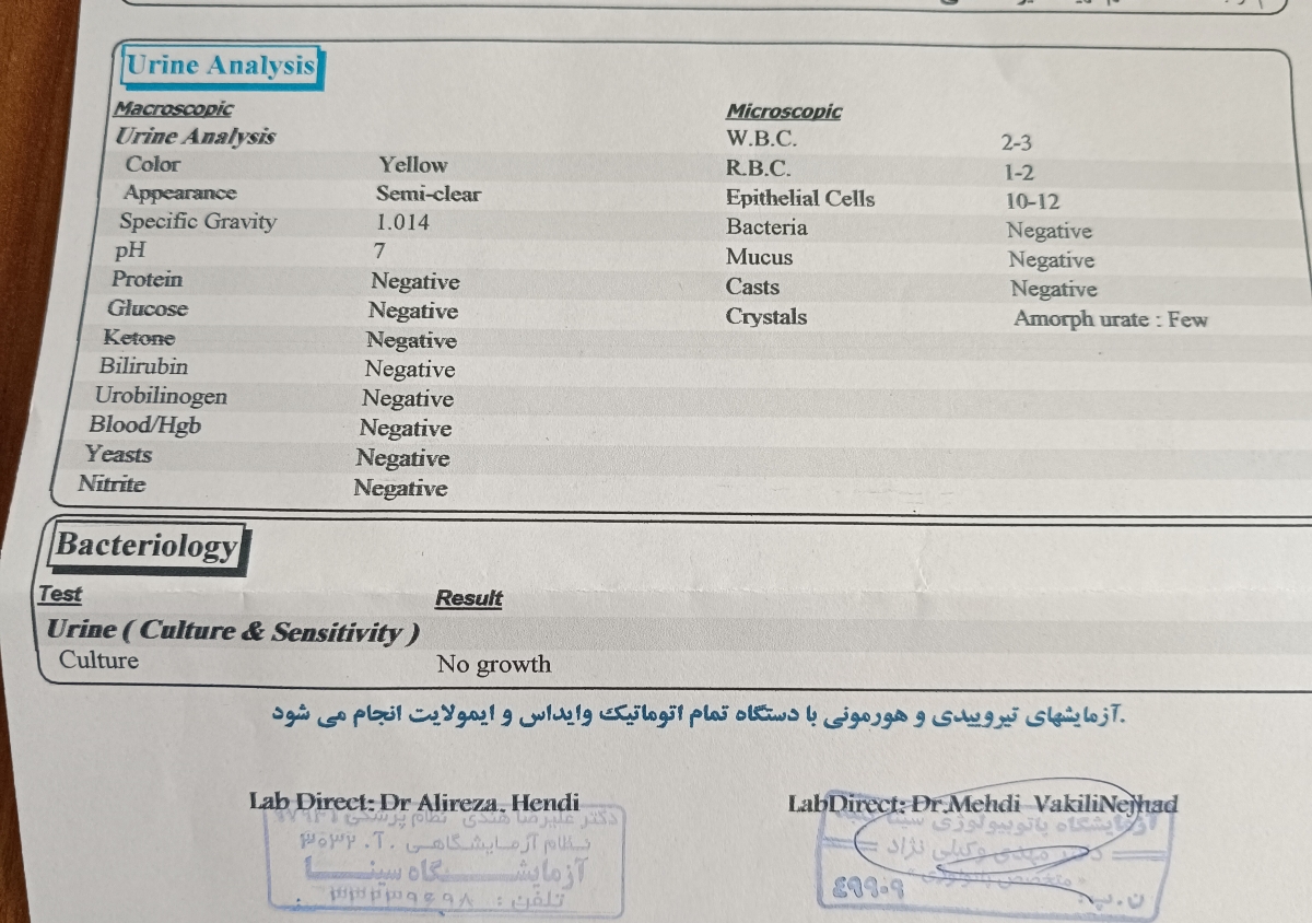 تفسیر ازمایش عفونت ادرار