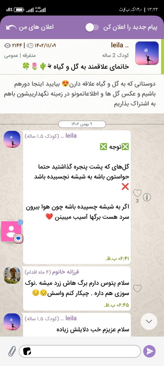 سلامدوستان گلدان دیفنم برگاش داره زرد میشه سلامدوستان گلدان دیفنم برگاش داره زرد میشه