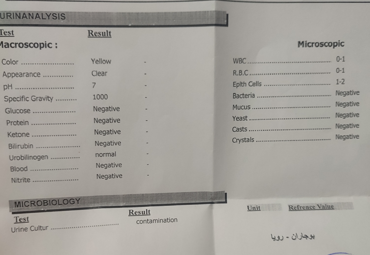 کشتش کثبته؟