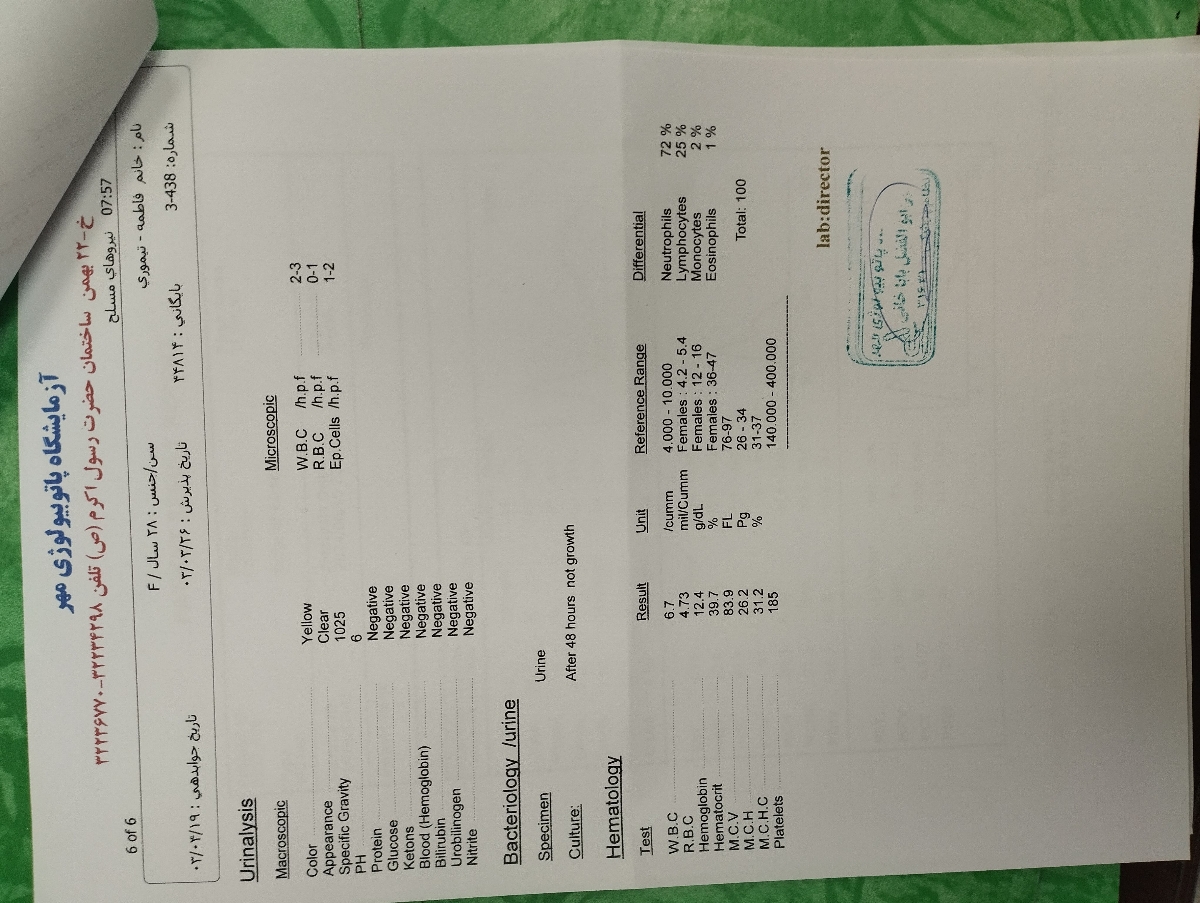 تفسیر سونوی بعد از بارداری تفسیر سونوی بعد از بارداری