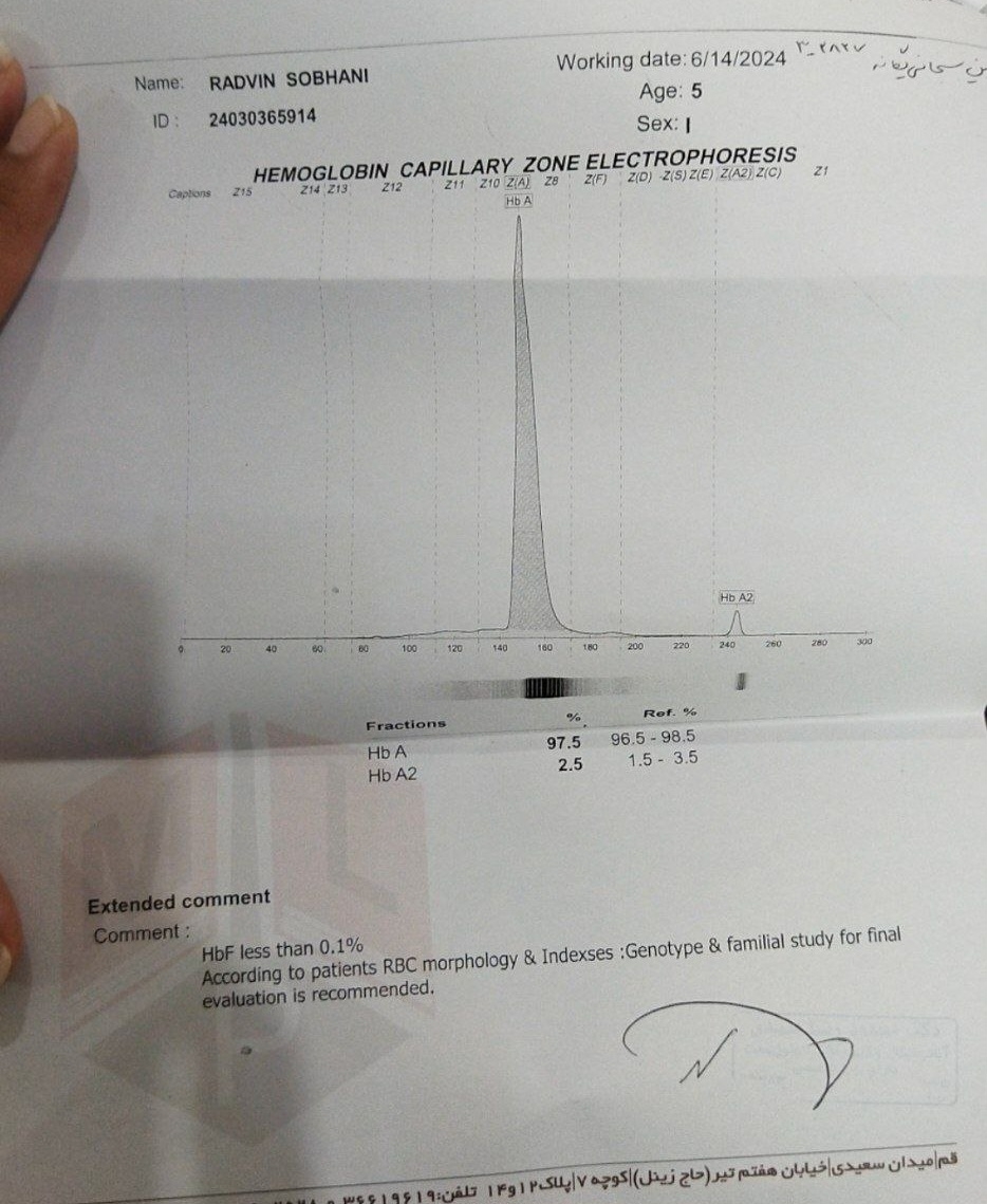 تفسیر ازمایش خون و ادرار و علت بالا بودن گلبول سفید