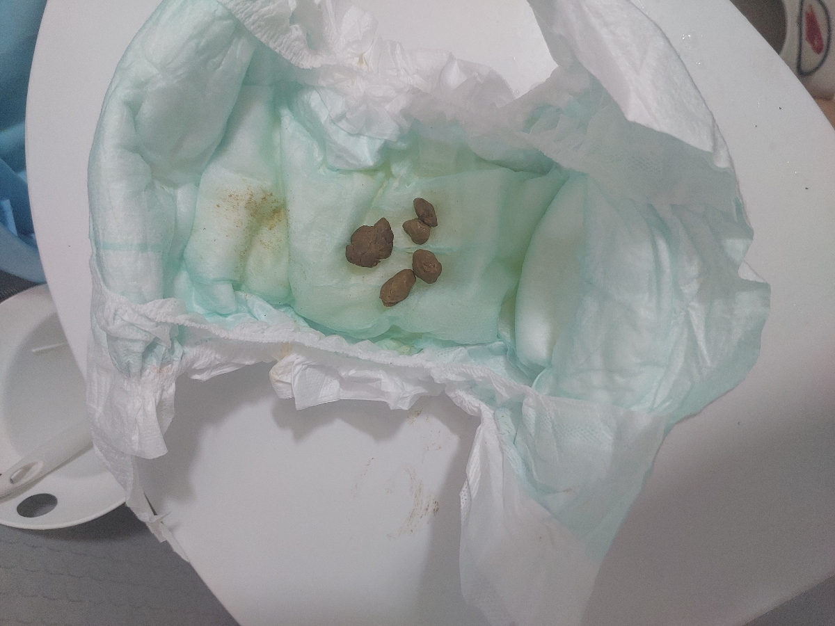 درروز هم ۱تا۳ بار دفع داره درروز هم ۱تا۳ بار دفع داره