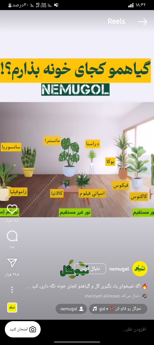 خانمای علاقمند به گل و گیاه ⚘🌵🌷🍀