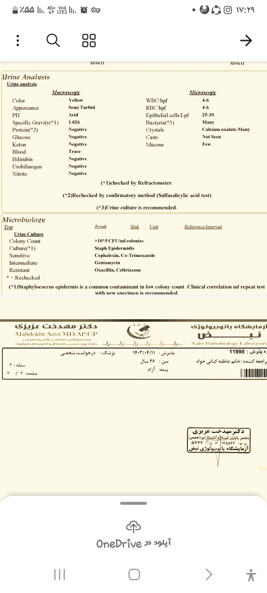 تفسیر آزمایش کشت ادرار