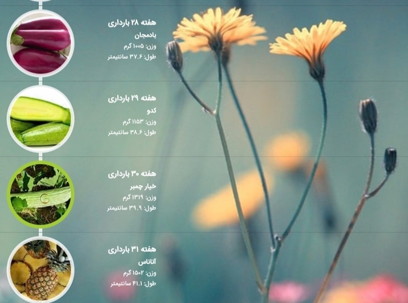 خانم دکتر طبق وزن اوما و ان تی من که ۲۹ هفته و یک روزم ایا وزن جنین نرمال نیست؟؟