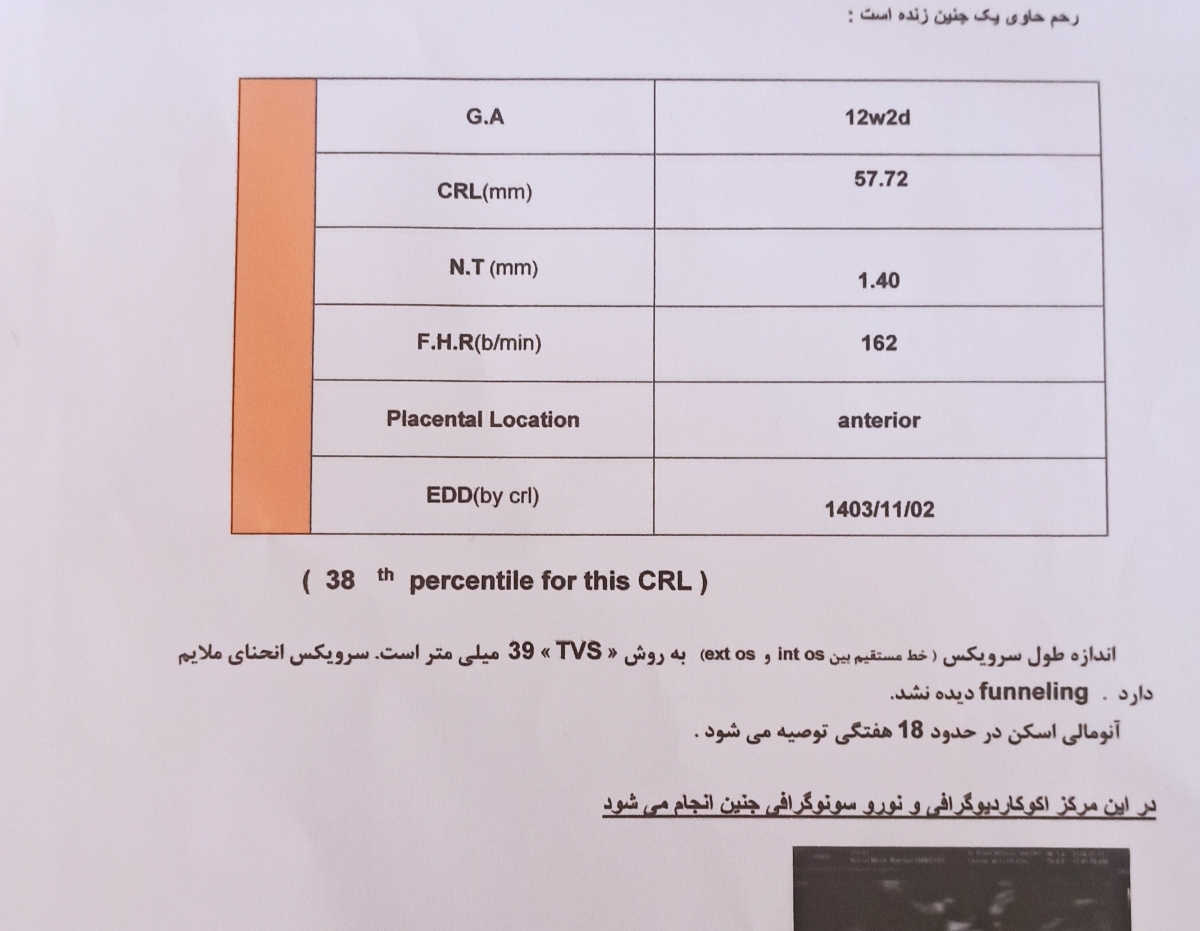 تفسیر سونو و آزمایش ان تی