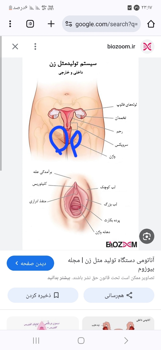 خانومایی که هفته های ۲۱ ۲۲ ۲۳ هستین خانومایی که هفته های ۲۱ ۲۲ ۲۳ هستین