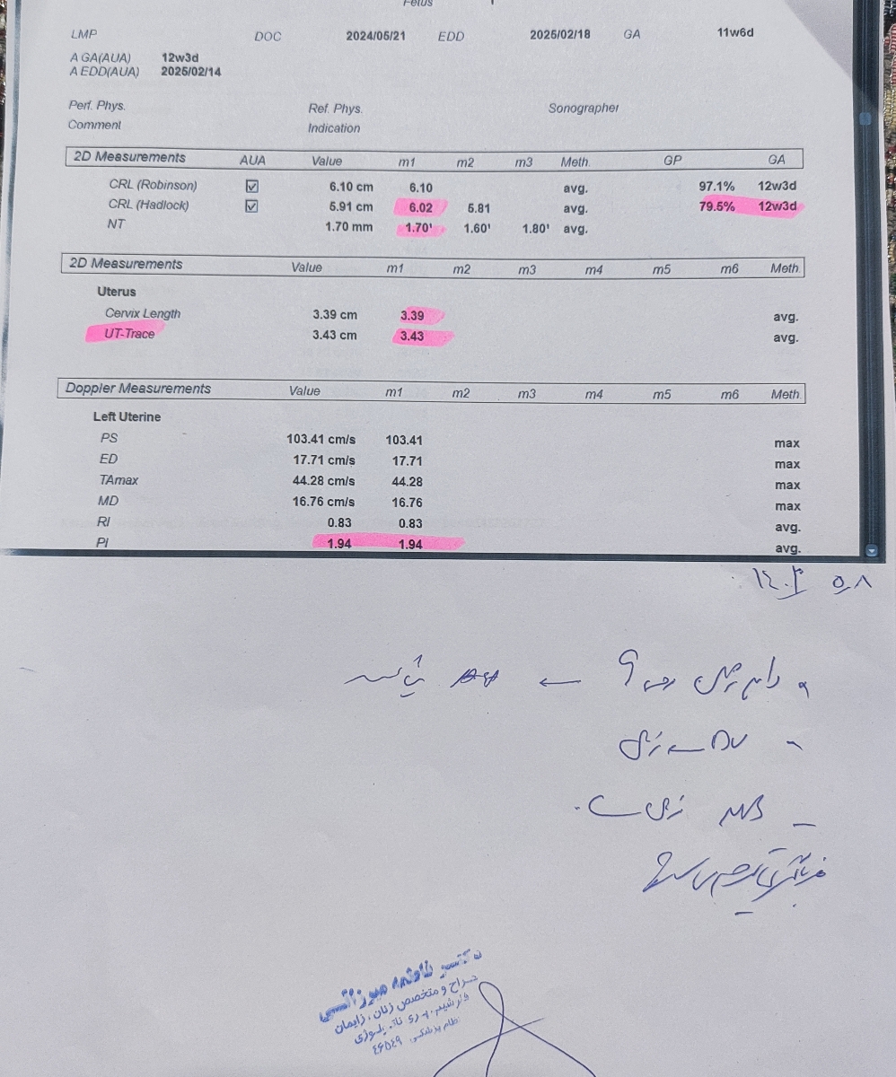 تفسیر سونوگرافی ان تی