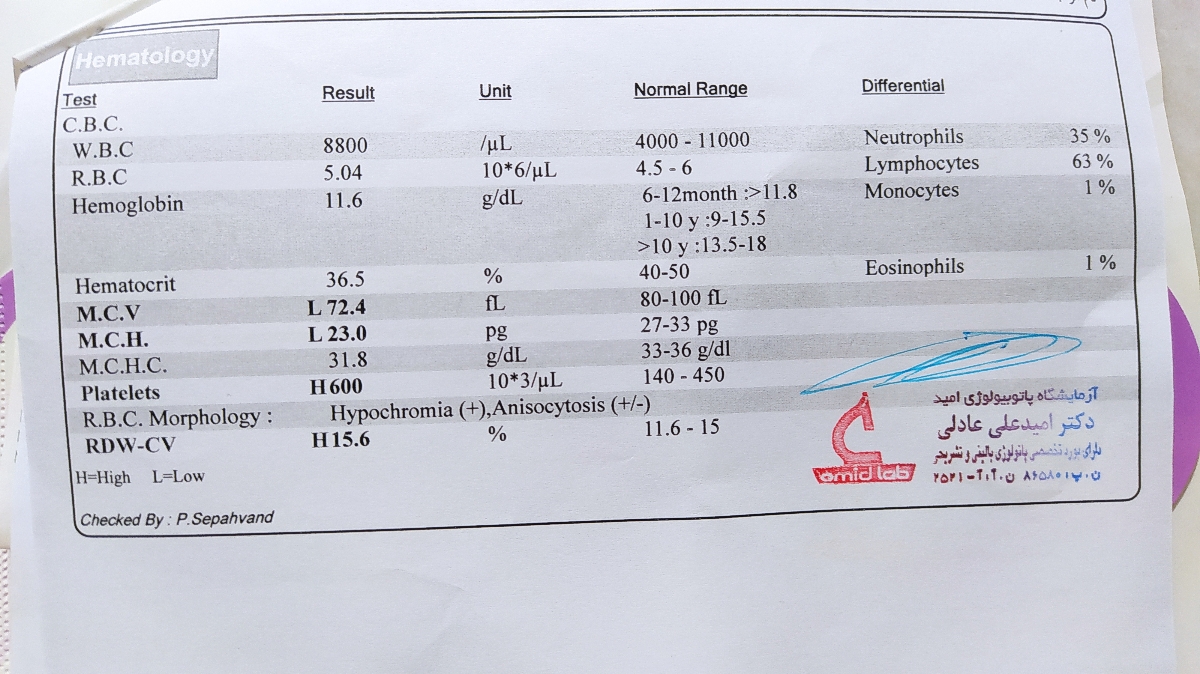 تفسیر ازمایش خون کودک یکساله