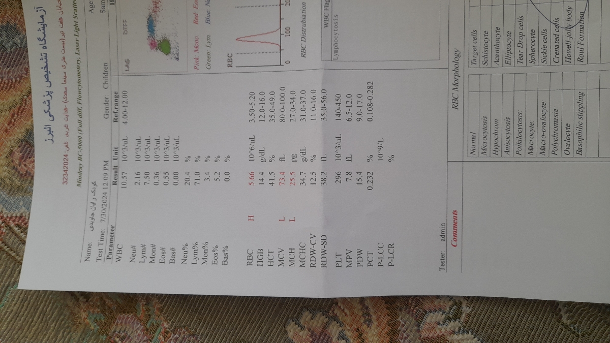 تفسیر آزمایش کودک سه ساله