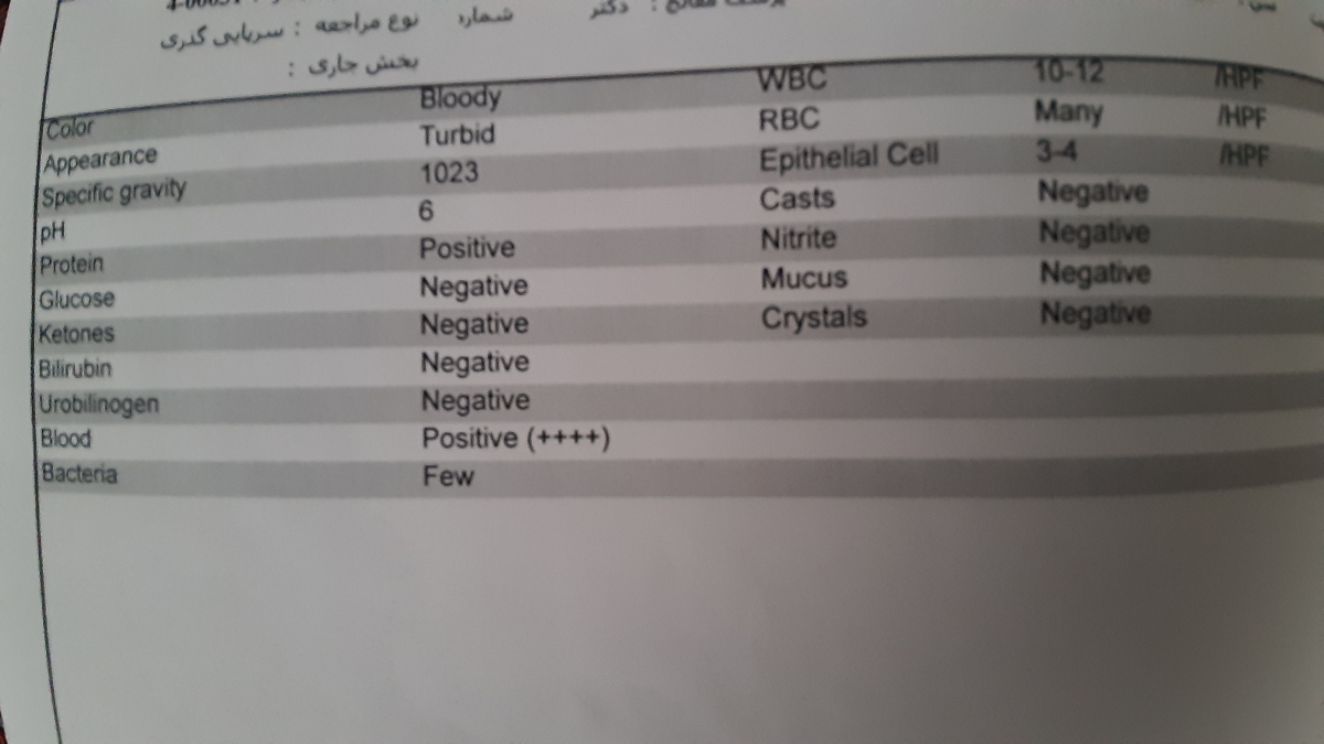 تفسیر آزمایش عفونت ادرار