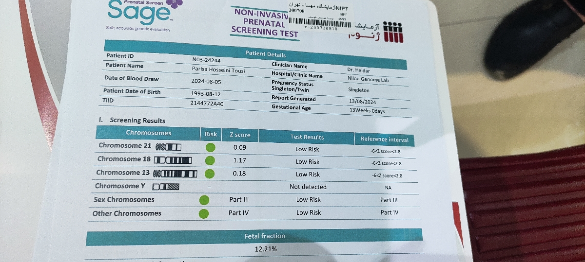 تفسیر آن آی پی تی