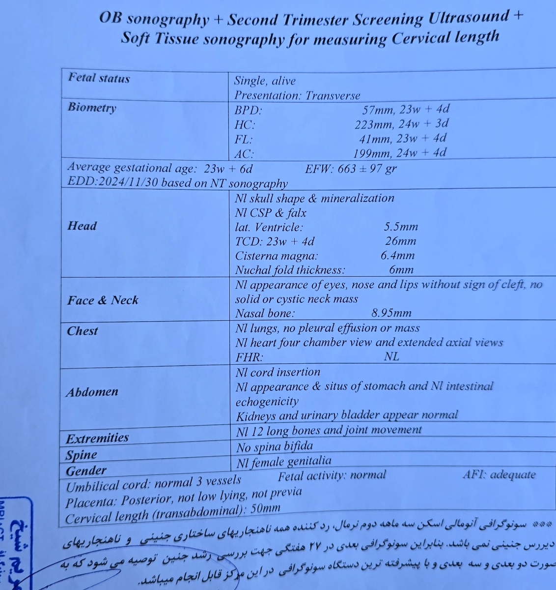 سونوگرافی انومالی هفته ۲۴ 