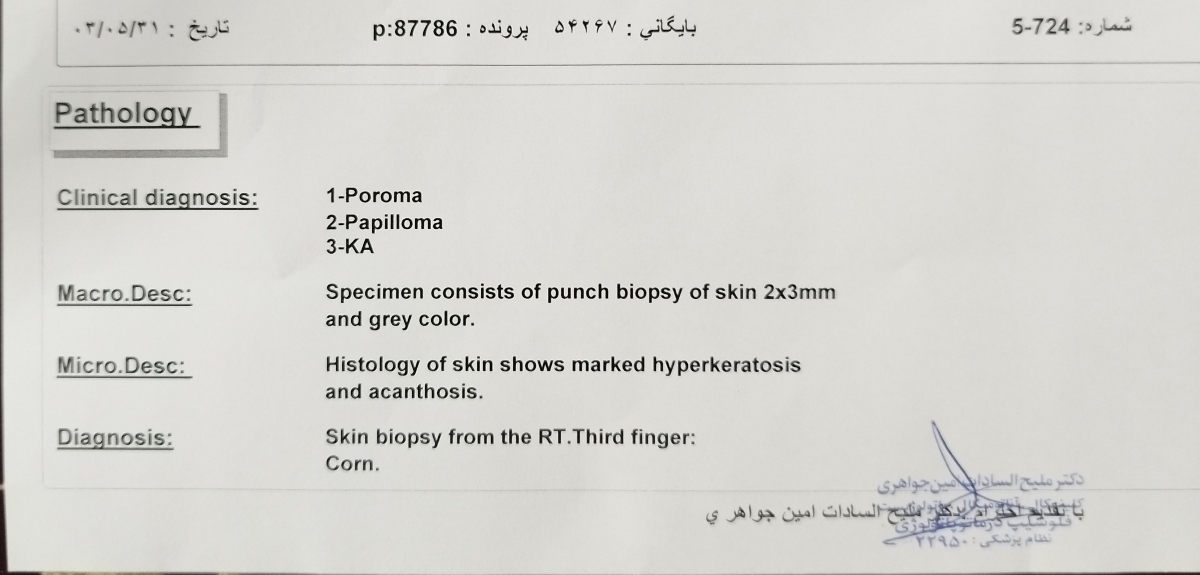 تفسیر پاتولوژی نمونه پوست