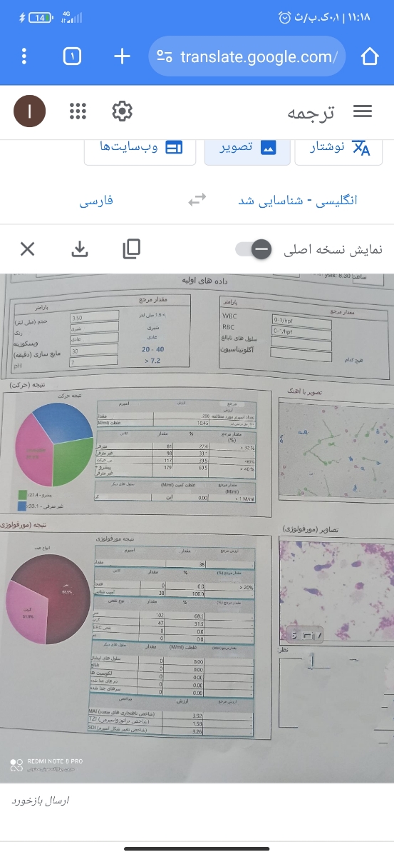 تفسیر آزمایشات پیش از بارداری