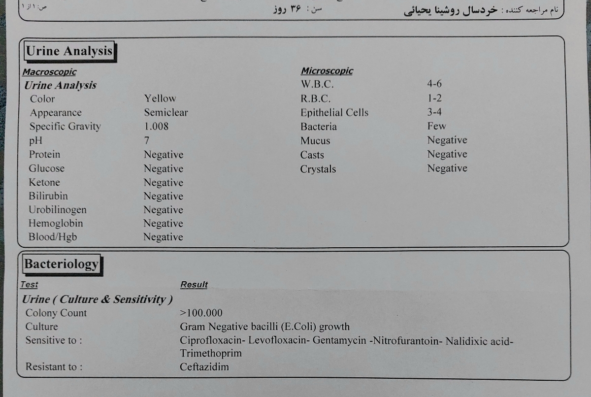 آزمایش ادرار نوزاد ۳۸ روزه